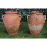 A pair of terracotta oil jars with twin lug handles, 40cm wide x 50cm high, (2).