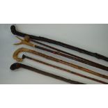 Fifteen various walking sticks, to include a bone handled and novelty dog's head example, (15).