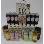 Wine Box and Miniatures: Cape Fyn Bos Chenin Blanc (3 litres); Tavernello Pinot Bianco (50cl);