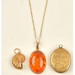 A 9ct gold mounted oval amber pendant with a gold neckchain,