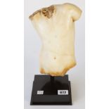 After the antique, a faux marble torso, 22cm high, mounted on a stand.