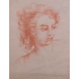 Italian School, 18th/19th Century, Head study, sanguine chalk, 30 x 20.