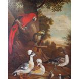 Follower of Jacob Bogdani, An assembly of birds in a landscape, oil on canvas,