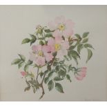 Honor Irvine (British, 20th Century), Wild Roses, signed 'Honor Irvine' (lower right), watercolour,