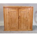 An early 20th century pine side cupboard on a plinth base