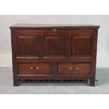 An 18th century oak mule chest with panelled front over two short drawers