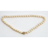 A single strand uniform cultured pearl necklace, suspended from a white stone set yellow...