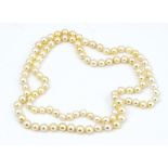 A single row necklace of cultured pearls