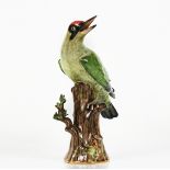 A Meissen model of a green woodpecker