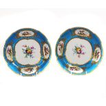 A pair of English decorated Sevres dishes