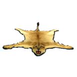 TAXIDERMY: A LION SKIN RUG