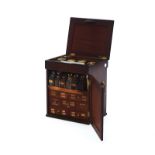 A 19TH CENTURY MAHOGANY CASED APOTHECARY CABINET