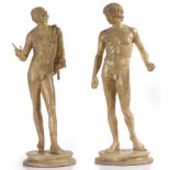 AFTER THE ANTIQUE; A RESIN MODEL OF NARCISSUS AND A CLASSICAL MALE YOUTH (2)