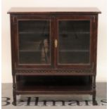 An Edwardian mahogany side cupboard with two glazed doors