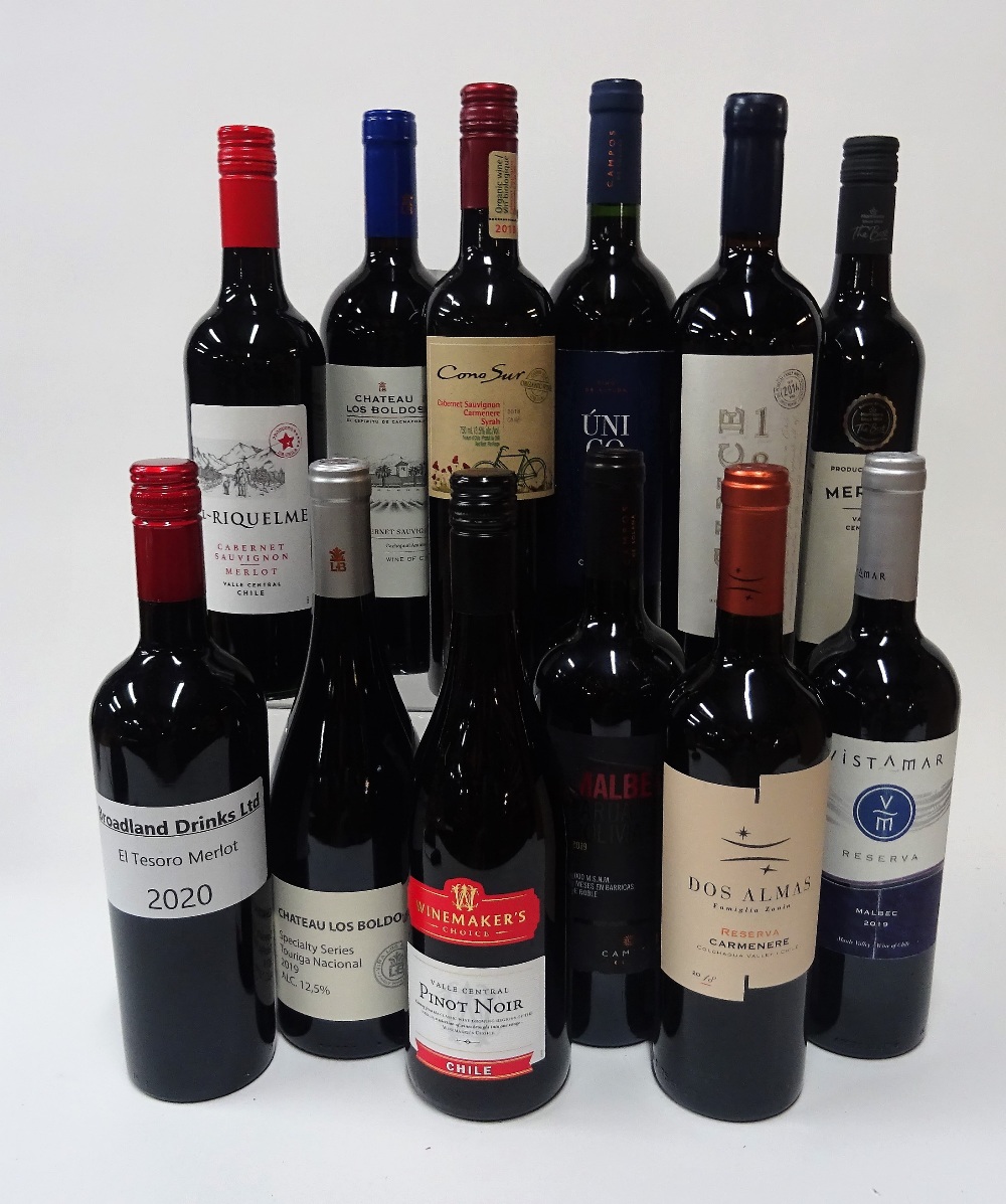 12 BOTTLES CHILEAN RED WINE - Image 2 of 2