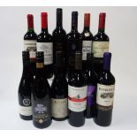 12 BOTTLES CHILEAN RED WINE