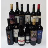 12 BOTTLES CHILEAN RED WINE