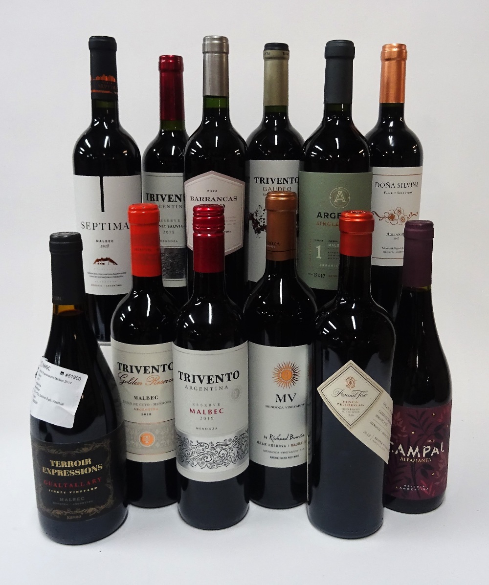 12 BOTTLES ARGENTINIAN RED WINE - Image 2 of 2