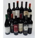 12 BOTTLES ARGENTINIAN RED WINE