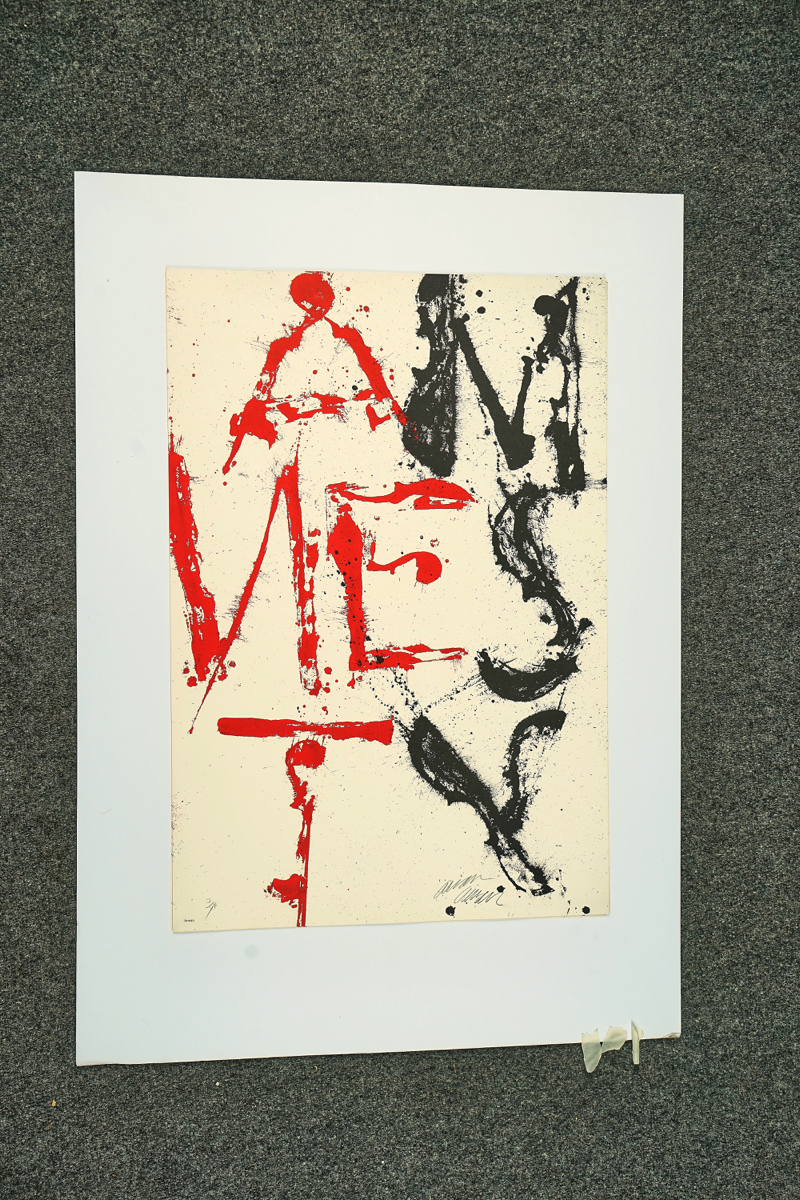 TWELVE ARMAN-AMNESTY COLOUR LITHOGRAPHS - Image 6 of 12