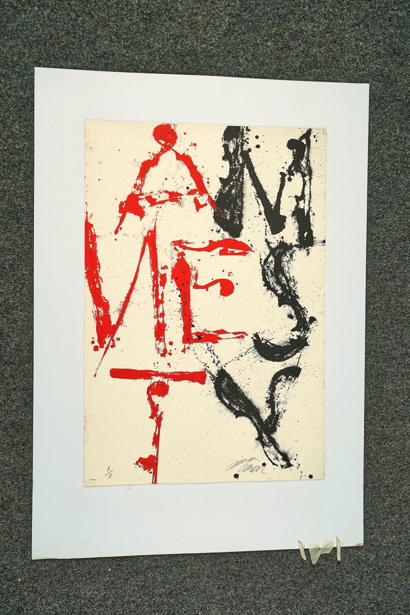 TWELVE ARMAN-AMNESTY COLOUR LITHOGRAPHS - Image 4 of 12