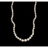 A SINGLE ROW NECKLACE OF GRADUATED SEED PEARLS