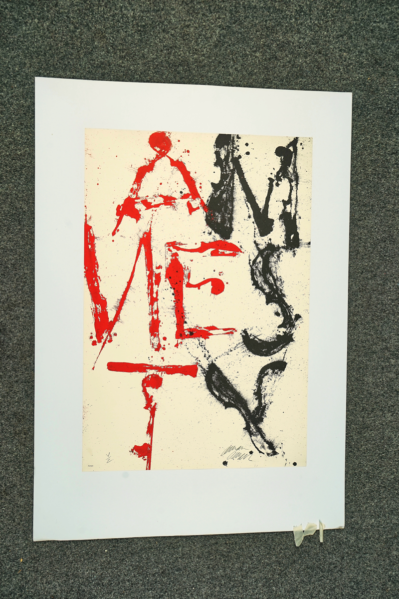 TWELVE ARMAN-AMNESTY COLOUR LITHOGRAPHS - Image 12 of 12