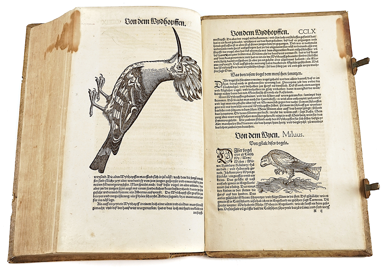 GESNER [or GESSNER], Conrad (1516-65). Vogelbuch, Zürich, 1557, 219 fine woodcut illustrations... - Image 14 of 21