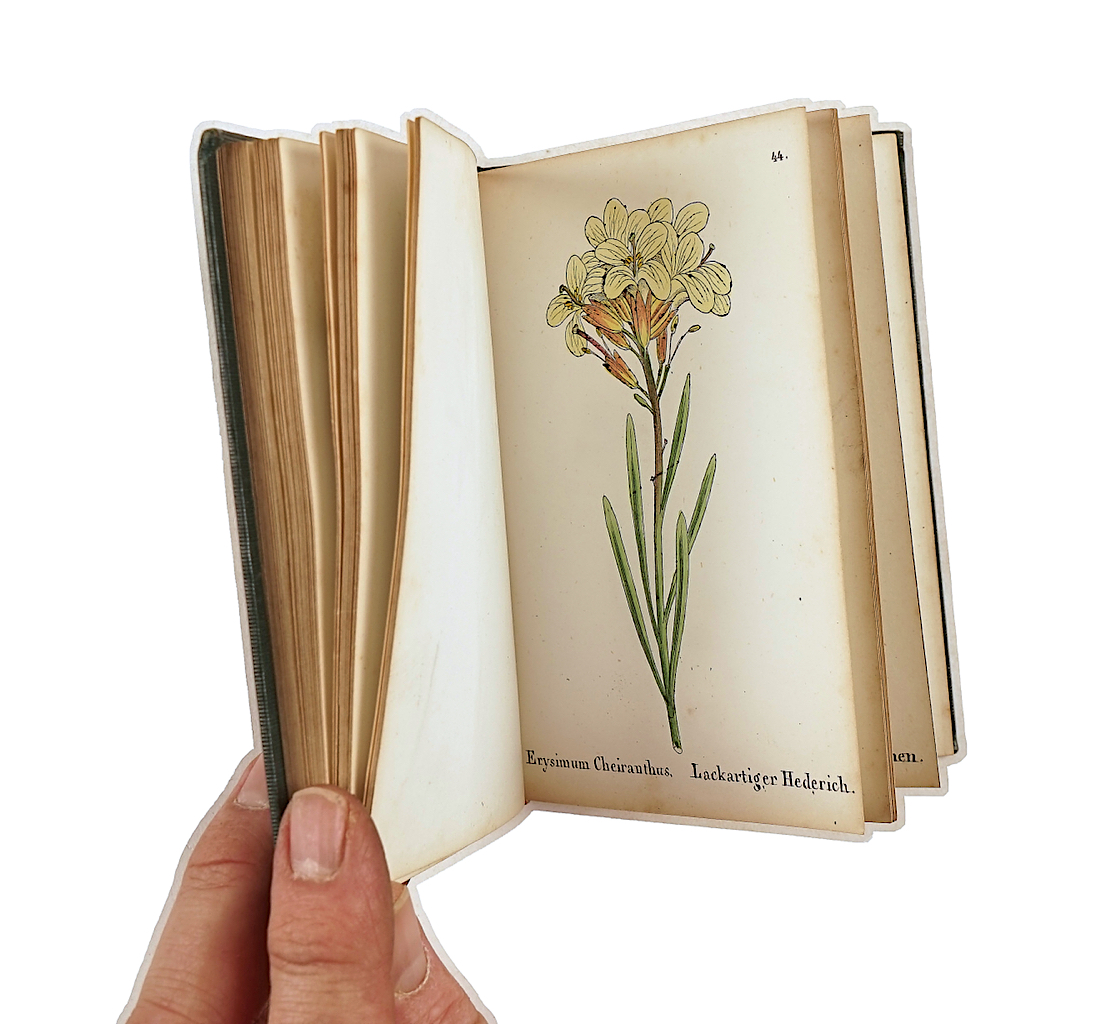 WEBER, J. C. (1801-75). Die Alpen-Pflanzen, Munich, [1867-68], 4 vols., 400 hand-coloured... - Image 3 of 3