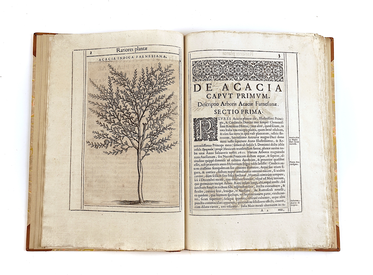 ALDINUS, Tobias (1570-1662) and Pietro CASTELLI (c. 1575-1656). Exactissima descriptio... - Image 2 of 7