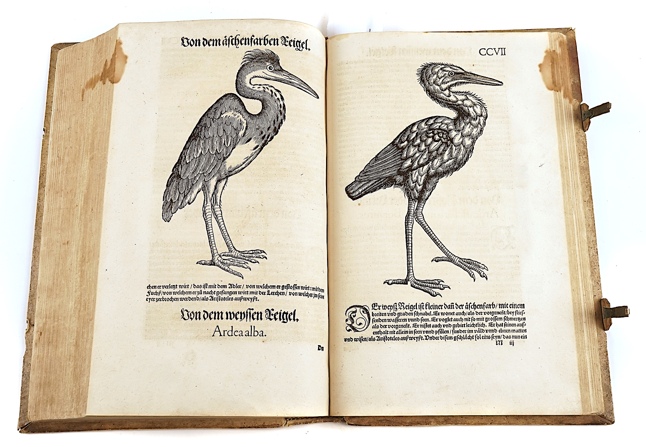 GESNER [or GESSNER], Conrad (1516-65). Vogelbuch, Zürich, 1557, 219 fine woodcut illustrations... - Image 11 of 21