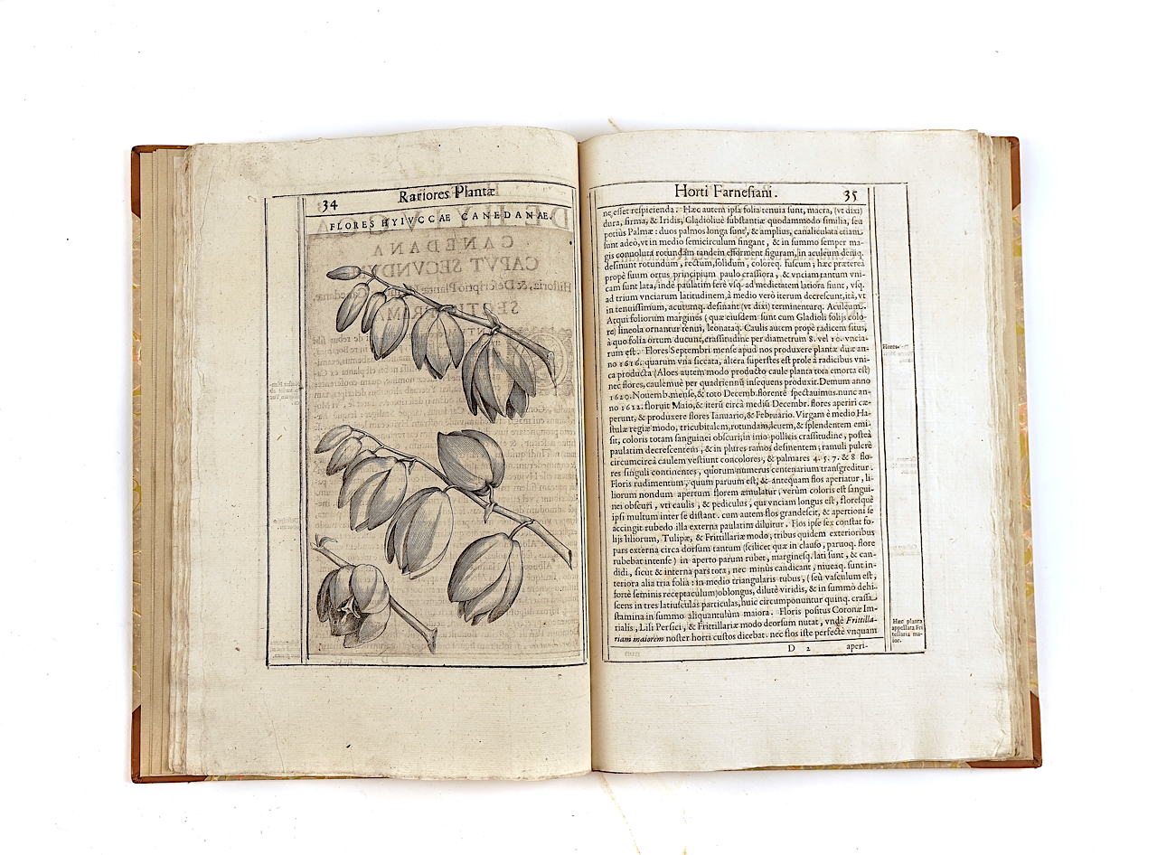 ALDINUS, Tobias (1570-1662) and Pietro CASTELLI (c. 1575-1656). Exactissima descriptio... - Image 3 of 7
