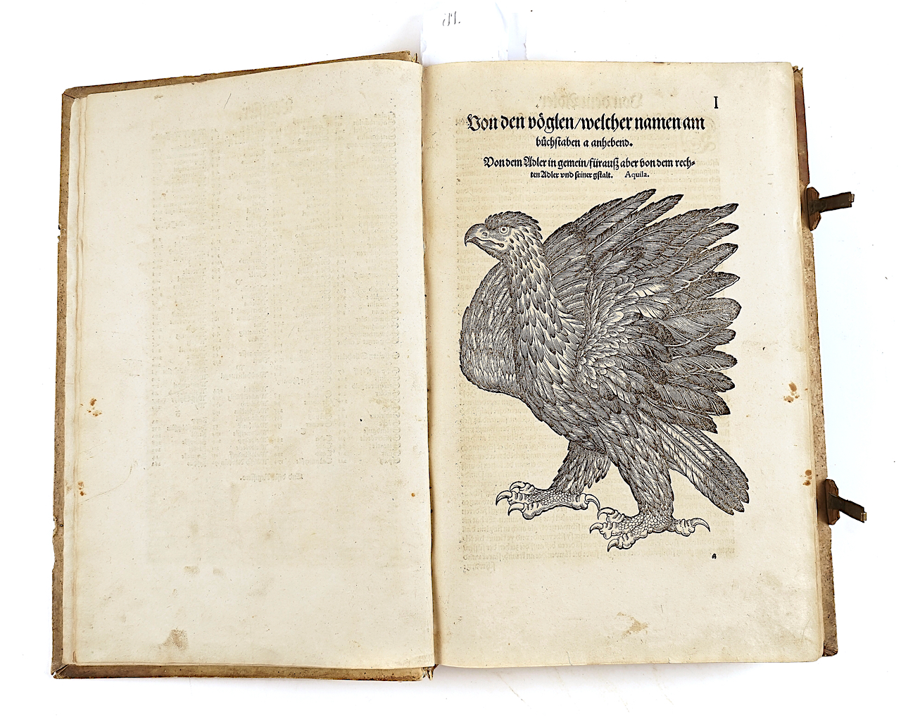 GESNER [or GESSNER], Conrad (1516-65). Vogelbuch, Zürich, 1557, 219 fine woodcut illustrations... - Image 2 of 21