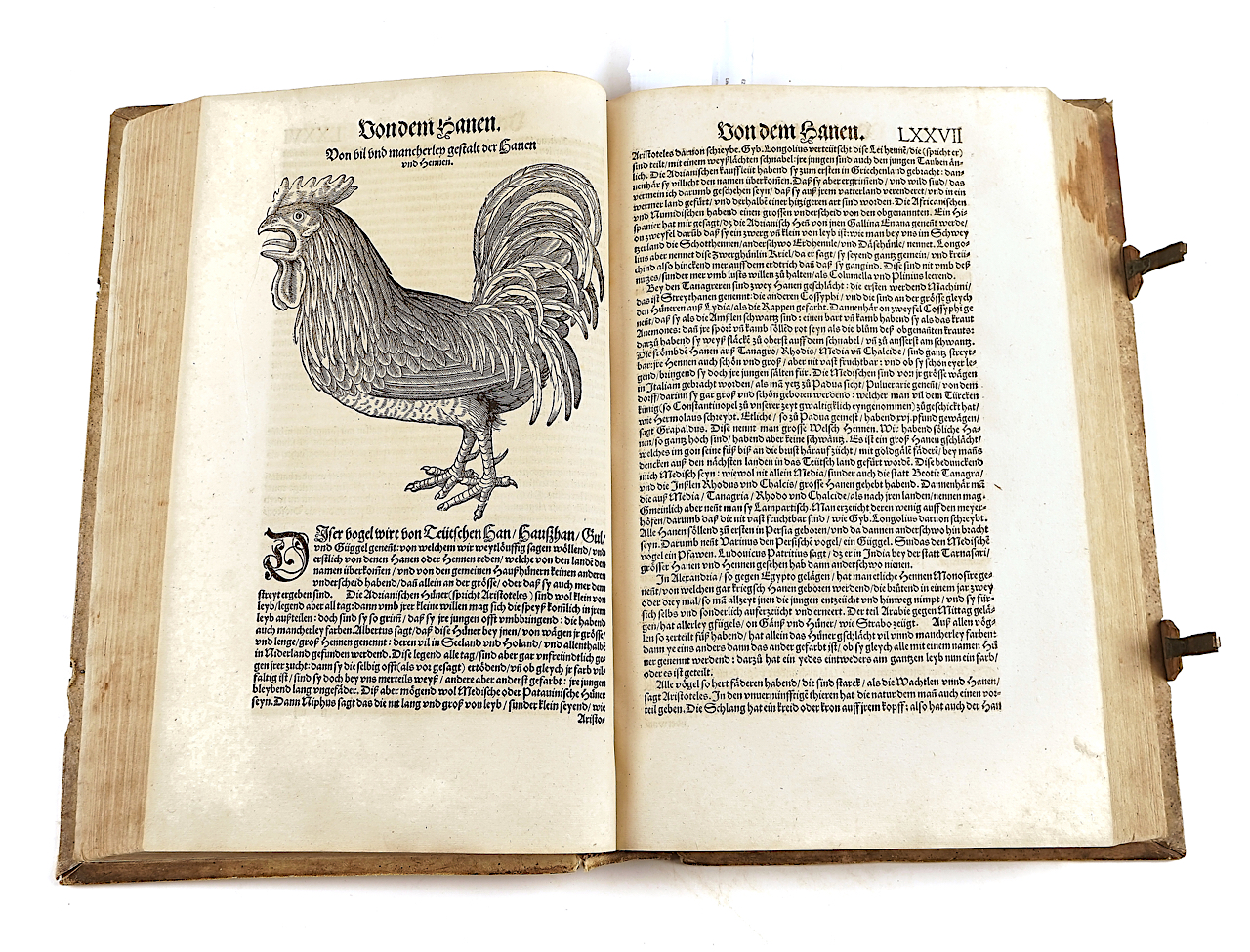 GESNER [or GESSNER], Conrad (1516-65). Vogelbuch, Zürich, 1557, 219 fine woodcut illustrations... - Image 7 of 21