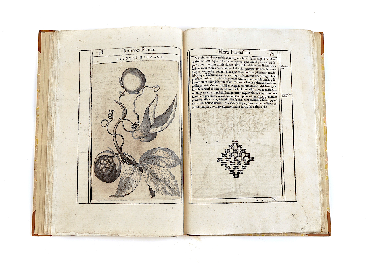 ALDINUS, Tobias (1570-1662) and Pietro CASTELLI (c. 1575-1656). Exactissima descriptio... - Image 4 of 7