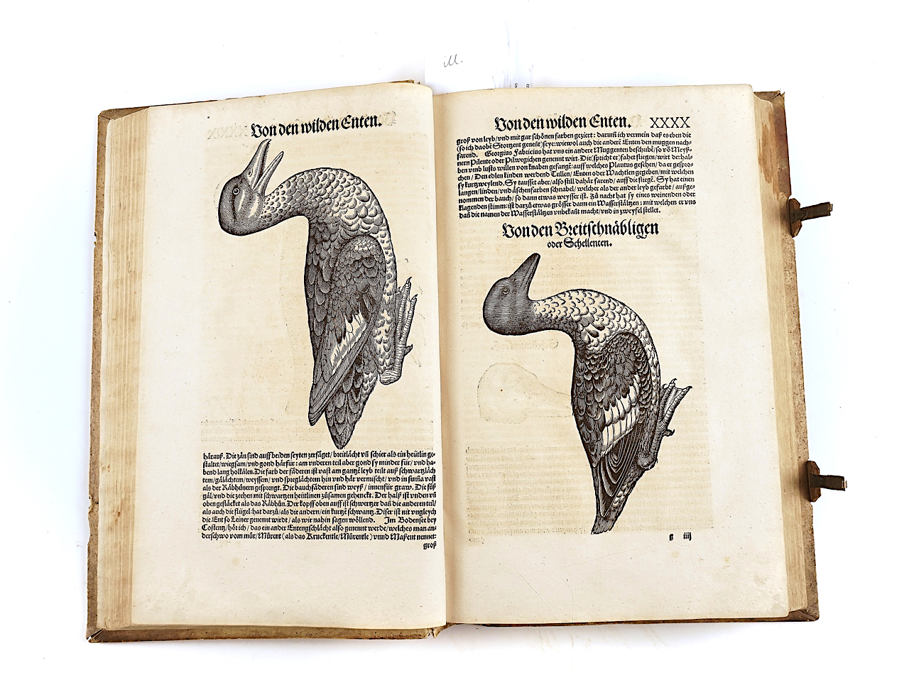 GESNER [or GESSNER], Conrad (1516-65). Vogelbuch, Zürich, 1557, 219 fine woodcut illustrations... - Image 4 of 21