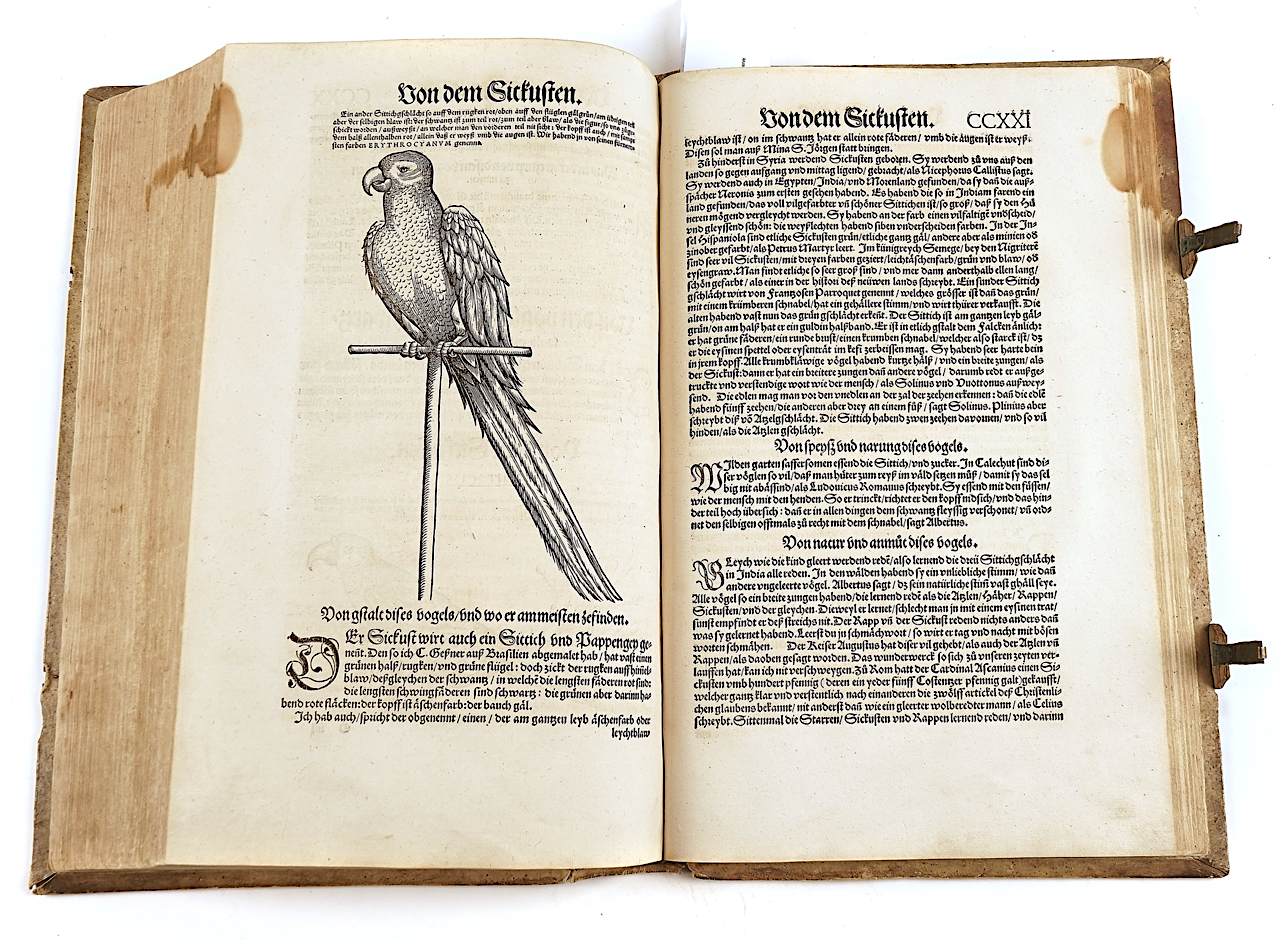 GESNER [or GESSNER], Conrad (1516-65). Vogelbuch, Zürich, 1557, 219 fine woodcut illustrations... - Image 12 of 21