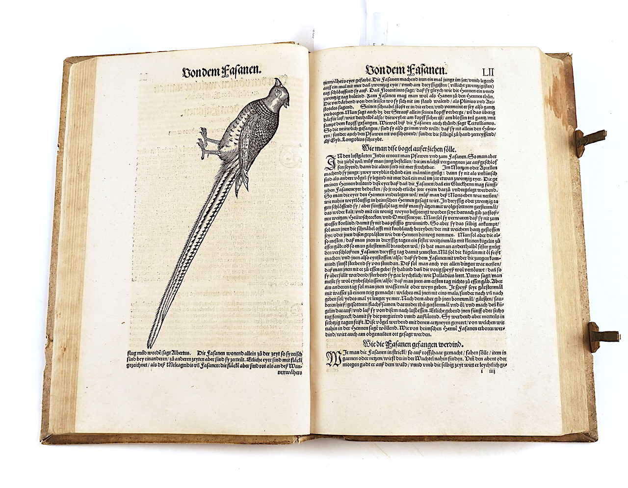 GESNER [or GESSNER], Conrad (1516-65). Vogelbuch, Zürich, 1557, 219 fine woodcut illustrations... - Image 6 of 21