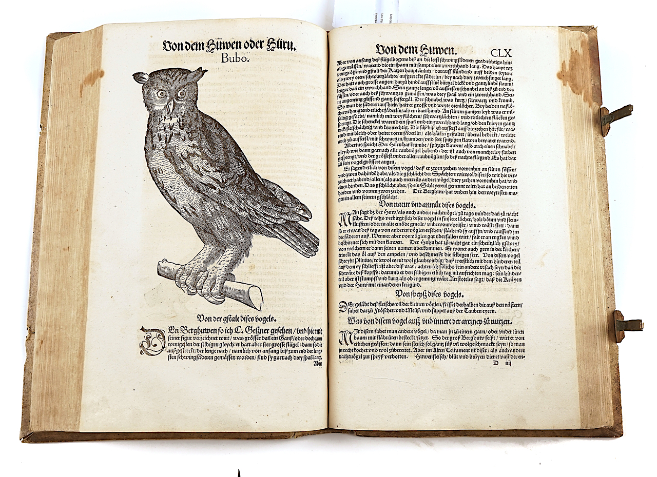 GESNER [or GESSNER], Conrad (1516-65). Vogelbuch, Zürich, 1557, 219 fine woodcut illustrations... - Image 8 of 21