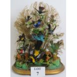 A superb taxidermy display of 10 exotic birds under a period arched dome mounted on a gilt wood