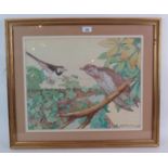 Kay Nixon (1895-1988) - 'Birds perched amongst foliage', watercolour, signed, 40cm x 50cm, framed.