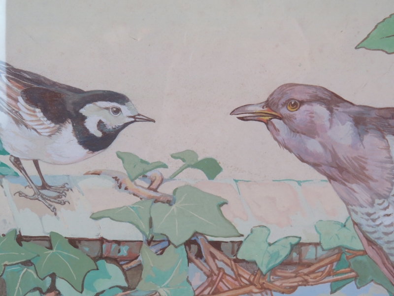 Kay Nixon (1895-1988) - 'Birds perched amongst foliage', watercolour, signed, 40cm x 50cm, framed. - Image 3 of 4