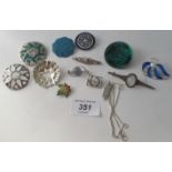 A varied collection of twelve brooches a