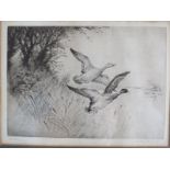 A pair of early 20th Century pencil - signed etchings, depicting ducks and lakes, impressed marks to