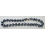 Shell pearl necklace, large 15mm pearls, even size and colour, 20" length.
