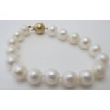 A white cultured 17 pearl bracelet with 9ct yellow gold ball clasp, approx weight 22 grams.