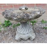 A reconstituted stone bird bath in the shape of a seashell. 44cm high x 54cm wide x 54cm deep (