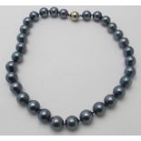 Shell pearl necklace, large 15mm pearls, even size and colour, 20" length.