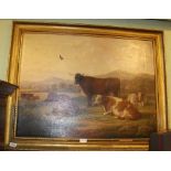 EDWIN BROWN OF COVENTRY A late 19th century oil on canvas portrait study of livestock cattle,