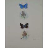 A RARE ORIGINAL WATERCOLOUR PLATE illustrating the Adonis Blue (L.bellargus) by A D A Russwurm